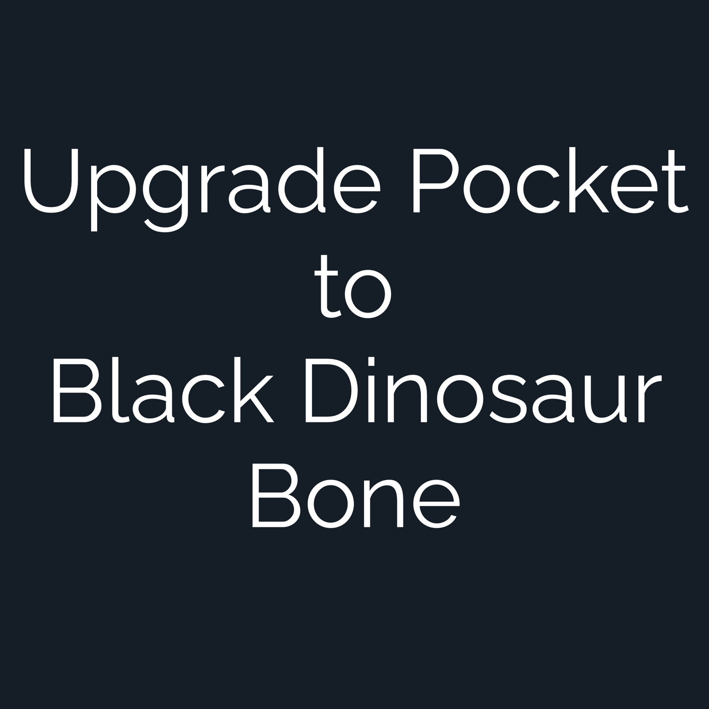 Upgrade Custom Golf Ball Marker Pocket to Black Dinosaur Bone — hero view showcasing fossilized cell structure