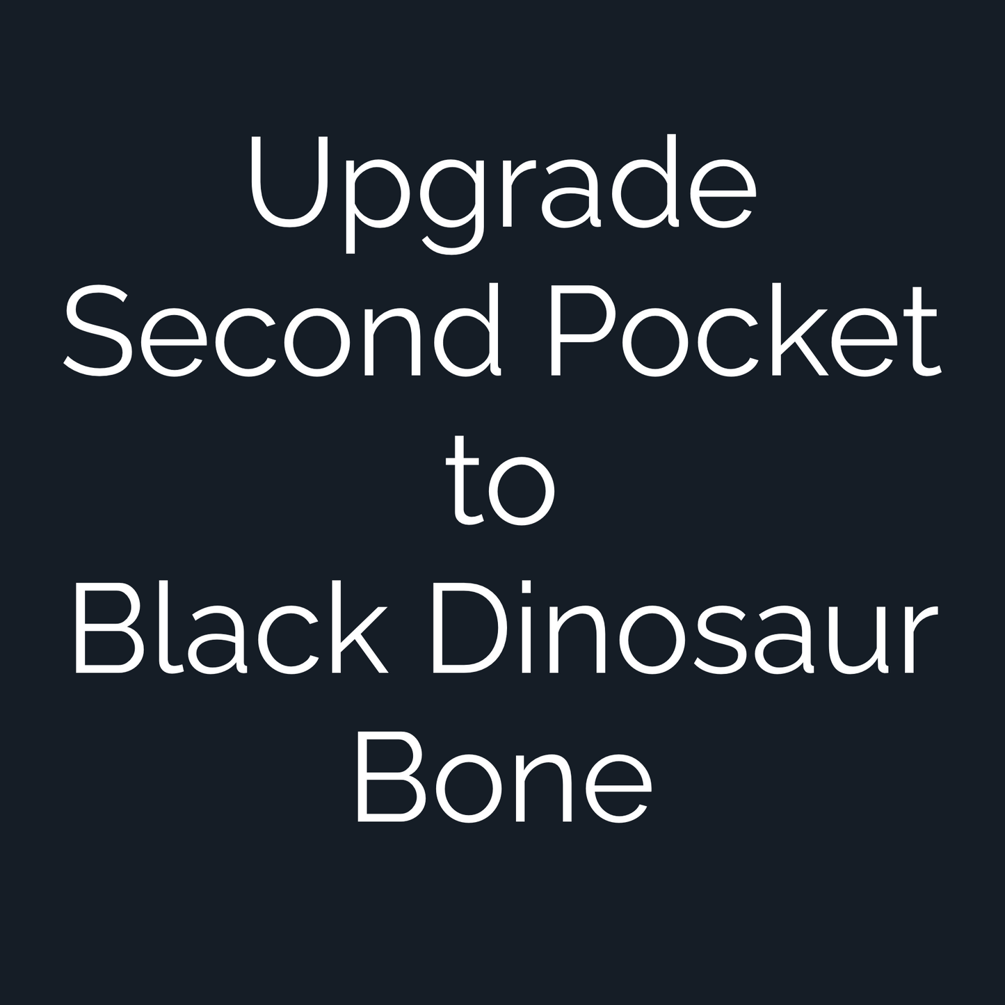 Upgrade Custom Golf Ball Marker Second Pocket to Black Dinosaur Bone — hero view showcasing fossilized cell structure