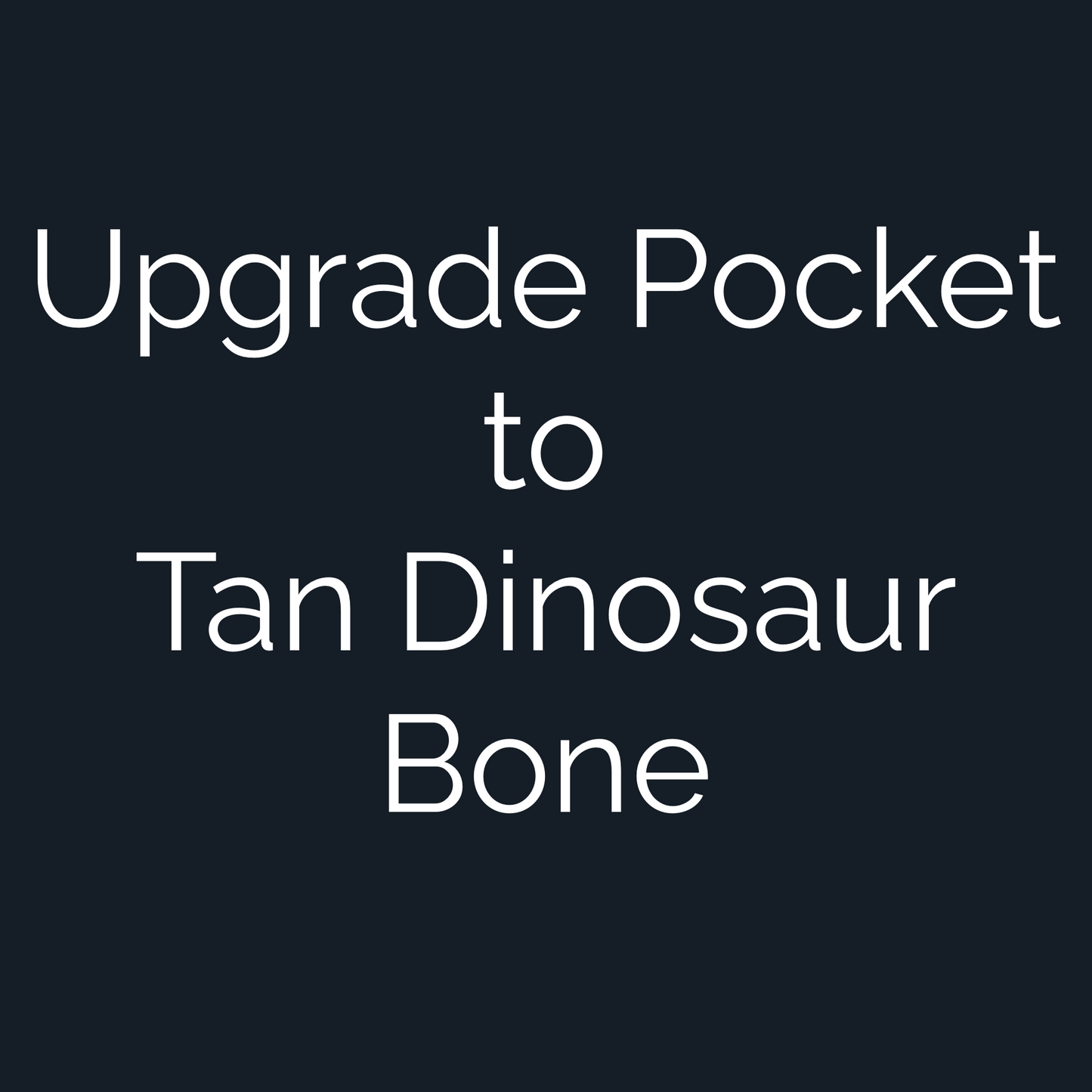 Upgrade Custom Golf Ball Marker Pocket to Tan Dinosaur Bone — hero view showcasing fossilized cell structure