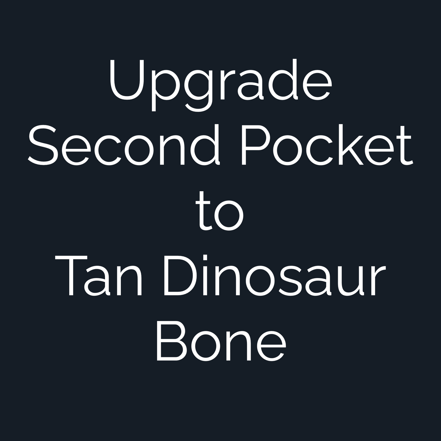 Upgrade Custom Golf Ball Marker Second Pocket to Tan Dinosaur Bone — hero view showcasing fossilized cell structure