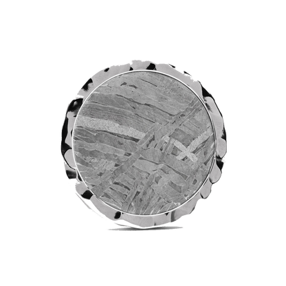 The Colossus Golf Ball Marker — hero view showcasing Widmanstatten pattern